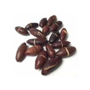 CASTANHA DE BARU ( TORRADA E SALGADA ) 5 KG