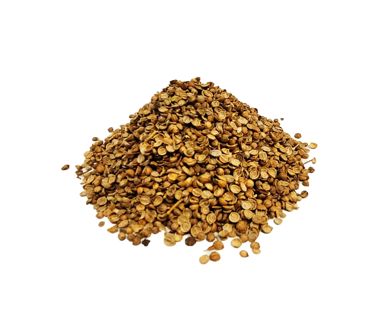 COENTRO EM GRÃO PARTIDO ARGENTINO IMPORTADO 25 KG