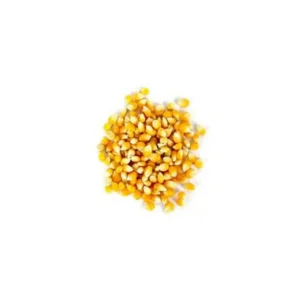 MILHO DE PIPOCA  RED FOX  23 KG