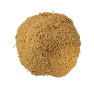 AÇÚCAR MASCAVO DOCICAN 10 KG